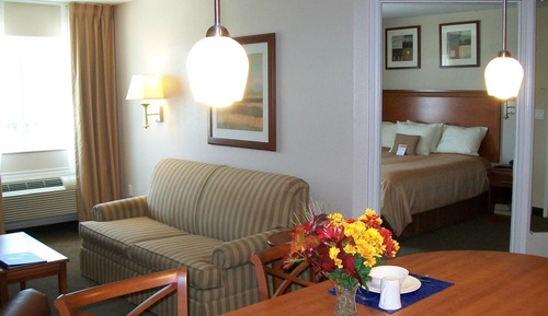 Studio Suite, 1 King Bed