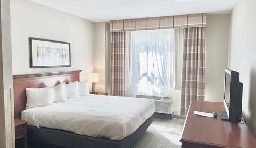 Room, 1 King Bed, Accessible, Non Smoking (Roll-in Shower)