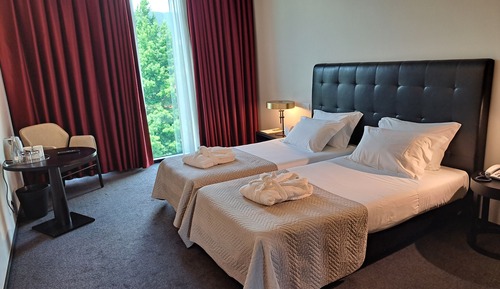 Standard Twin Room, Mountain View
