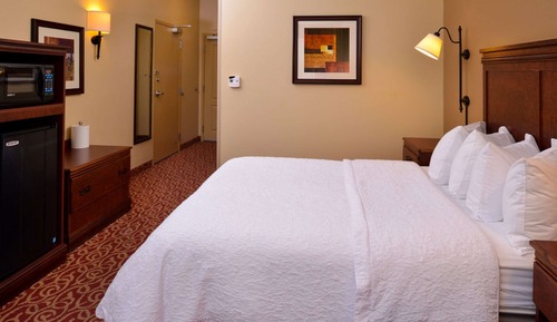 Room, 1 King Bed