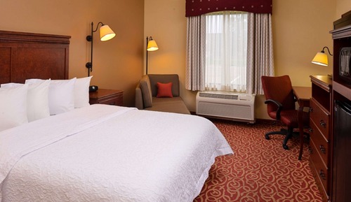 Room, 1 Queen Bed, Accessible (Roll-in Shower)