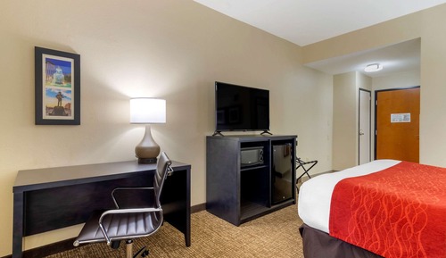 Standard Room, 1 King Bed, Non Smoking