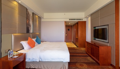 Premium Single Room