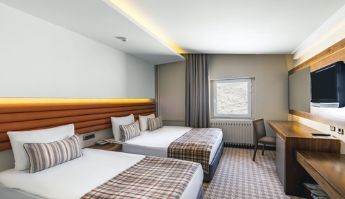 Standard Room, Mountain View
