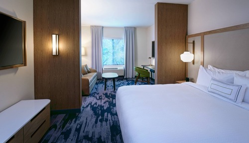 Suite, 1 King Bed with Sofa bed
