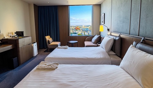 Premium Twin Room (with Lounge Access)