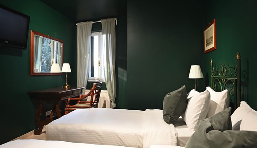 Superior Double or Twin Room, Mountain View