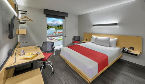Room, 1 Queen Bed