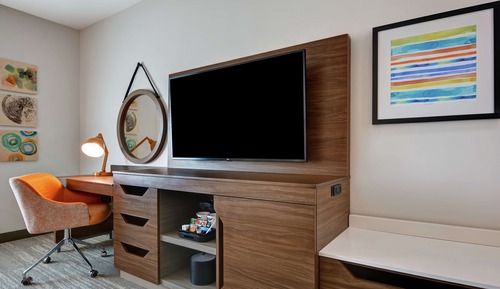 Room, 1 King Bed, Accessible (Roll-In Shower)