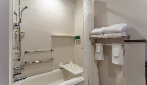 Suite, 1 King Bed with Sofa bed (Mobility Accessible, Tub)