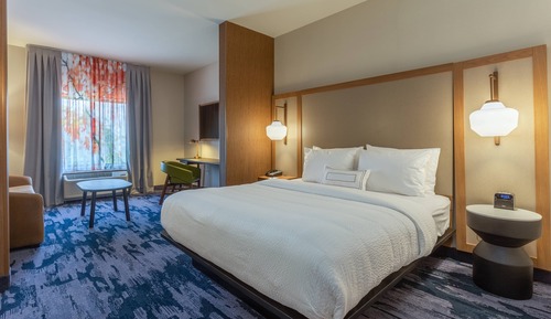 Suite, 1 King Bed with Sofa bed