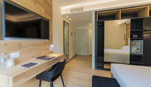 Superior Double or Twin Room