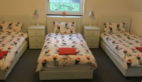 Deluxe Chalet, 4 Bedrooms, Non Smoking, Hot Tub (The Party Lodge)