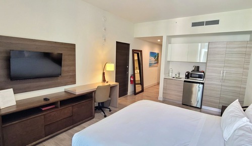 Luxury Studio, 1 King Bed, Courtyard View
