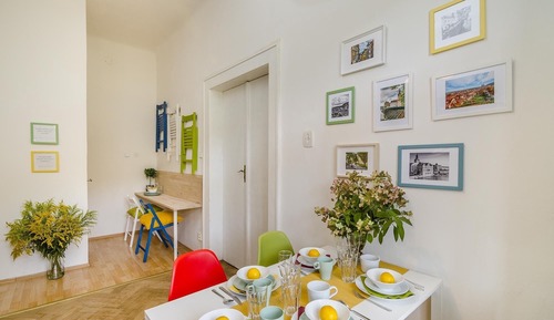 Basic Apartment