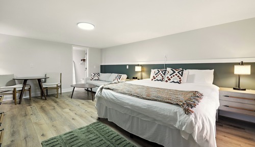 Basic Room, 1 King Bed with Sofa bed
