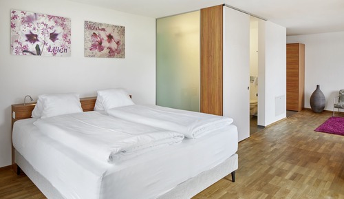 Junior Studio, 1 King Bed, Lake View