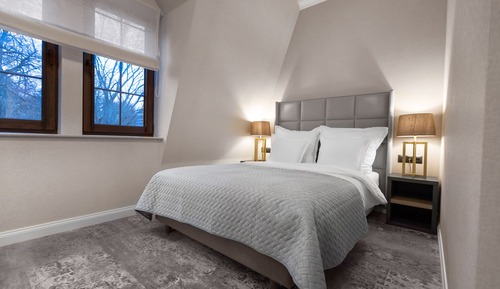 Business Room, 1 Double Bed