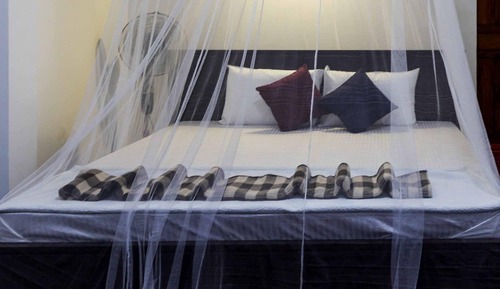 Deluxe Room, 1 Bedroom, Mountain View