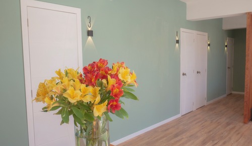 Comfort Single Room