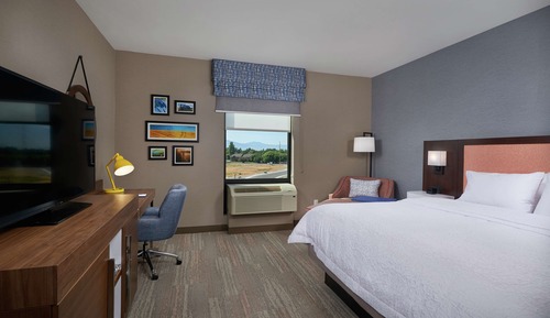 Room, 1 King Bed, Accessible (Roll-In Shower)