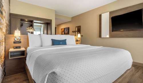 Standard Room, 1 King Bed, Non Smoking