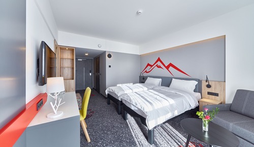 Room, 1 Twin Bed