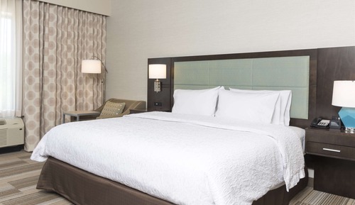 Room, 1 King Bed, Accessible, Non Smoking (Roll-in Shower)