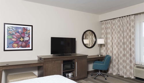 Room, 1 King Bed with Sofa bed, Accessible, Non Smoking (w/ bathtub)