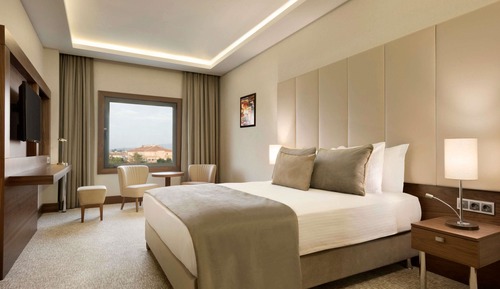 Superior Room, 1 Queen Bed, Non Smoking