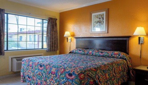 1 King Bed