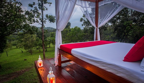 Tent with a Bushwalk Trekking