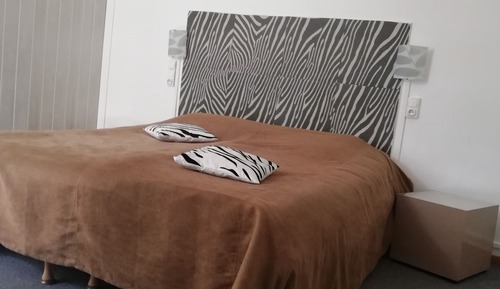 Comfort Double Room (Zebra 1)