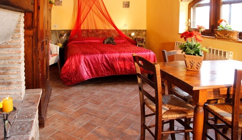 Comfort Studio, Kitchen, Garden View