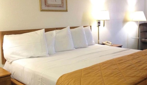 Room, 1 King Bed, Non Smoking, Jetted Tub