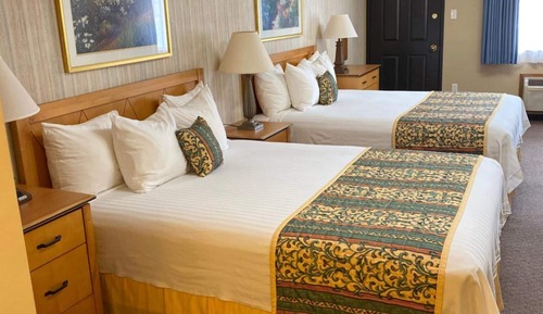 Dog Friendly, 2 Queen Beds, Non-Smoking, Kitchen Studio (Ground Level)