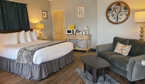 Standard Studio Suite, 1 Queen Bed, Non Smoking, Refrigerator & Microwave