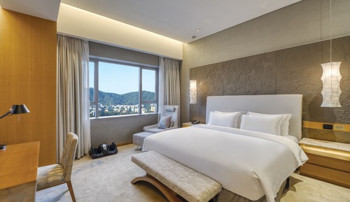 Superior Single Room
