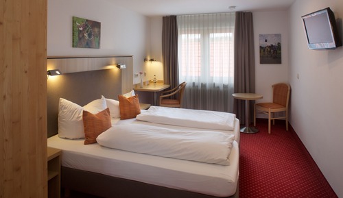 Standard Double Room