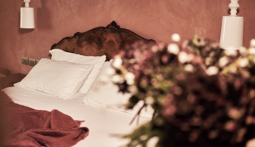 Superior Double Room, Pets Allowed, Garden View