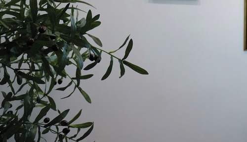 Basic Room, City View