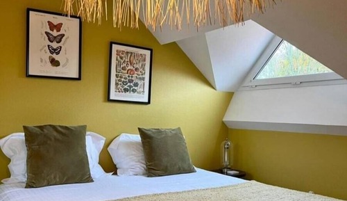 Basic Double Room