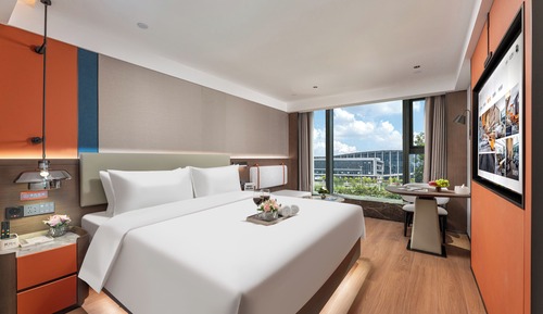 Basic Single Room