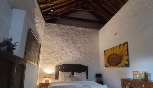 Junior Studio Suite