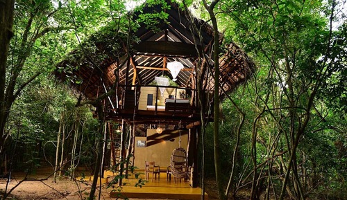 Tree House, Garden View