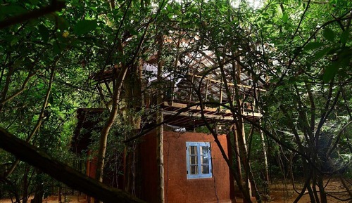 Tree House, 1 Double Bed, Garden View