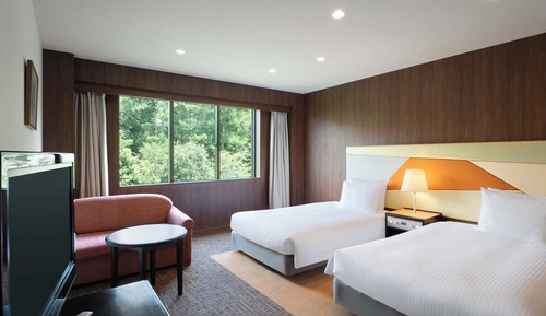 Standard Room (2 Twin Beds and 1 Sofabed)