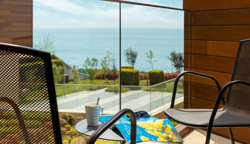 Premium Room, 1 King Bed with Sofa bed (Side Sea View)