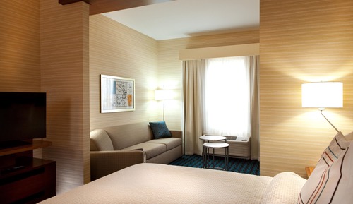 Suite, 1 King Bed with Sofa bed