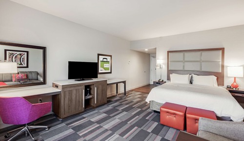 Room, 1 King Bed with Sofa bed, Refrigerator